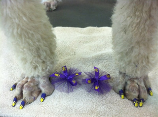 Illustration for article titled Doggie Nail Art: A Fun New Way to Make Sure Your Dog Hates You